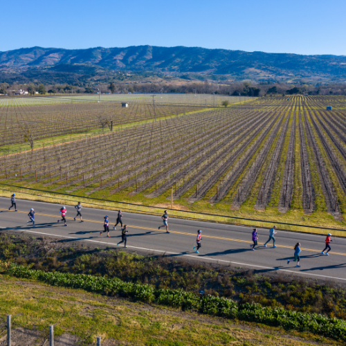 Napa Valley Half Marathon